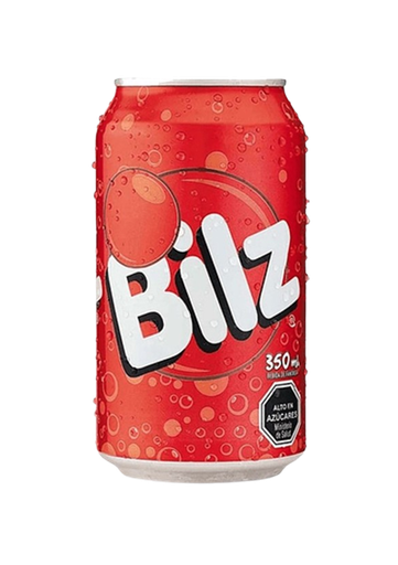 Bilz (4X6Latas350ml-CJ)